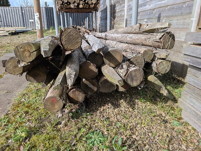 Partij kastanjepalen - afbeelding 4 van  6