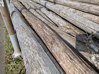 Partij kastanjepalen - afbeelding 5 van  6