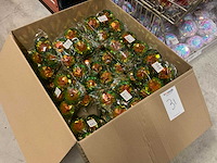 Partij kerstballen/ornamenten - afbeelding 8 van  8