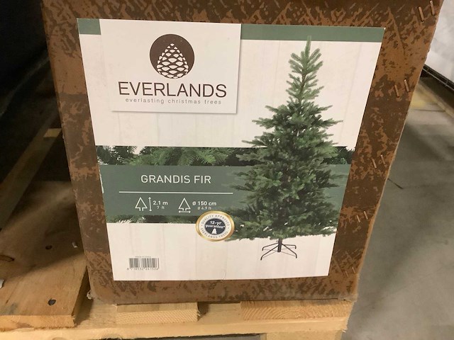 Partij kerstbomen - afbeelding 3 van  5