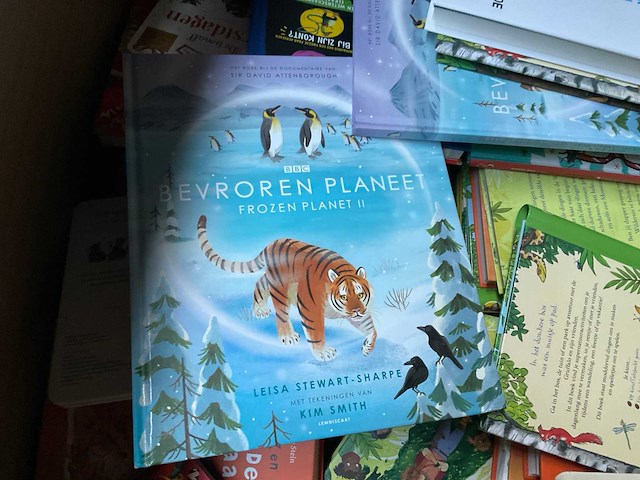 Partij kinderboeken - afbeelding 10 van  12