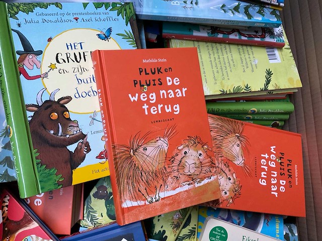Partij kinderboeken - afbeelding 12 van  12