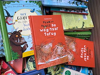 Partij kinderboeken - afbeelding 12 van  12