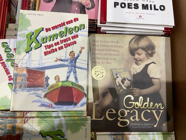 Partij kinderboeken - afbeelding 7 van  10