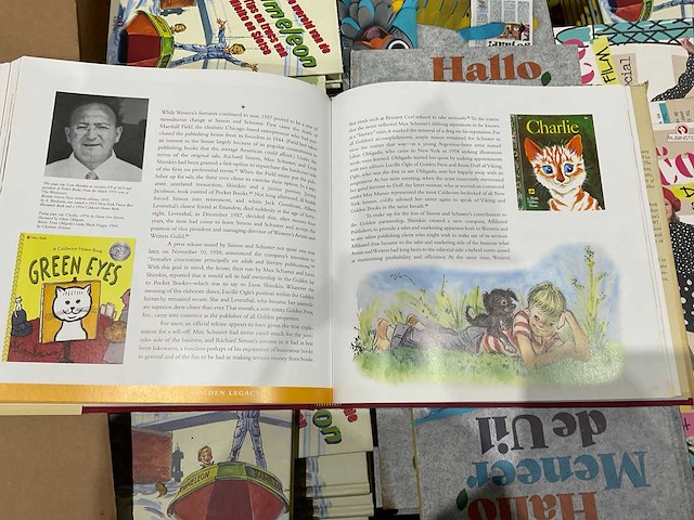 Partij kinderboeken - afbeelding 8 van  10