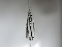 Partij kleding, luhta, koko noko, nachtwacht, b.young, wrangler, vero moda, tumble 'n dry, esprit - afbeelding 13 van  24