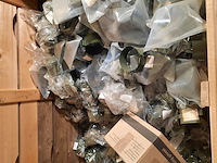 Partij klemmen - afbeelding 7 van  10