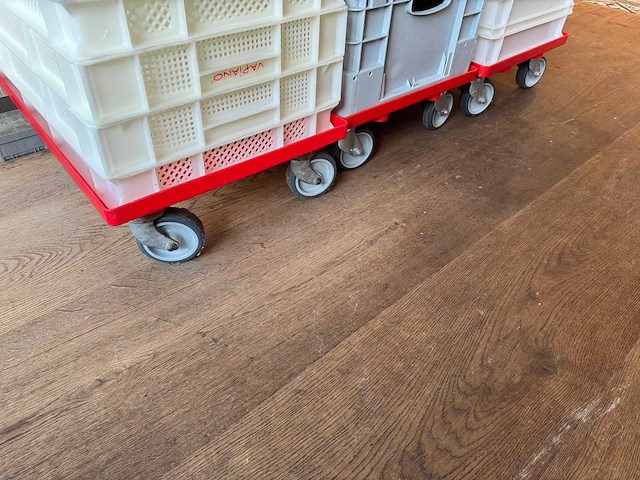 Partij kratten met trolleys - afbeelding 4 van  4