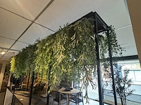Partij kunst hangplanten colours&green - afbeelding 2 van  4