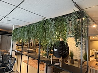 Partij kunst hangplanten colours&green - afbeelding 4 van  4