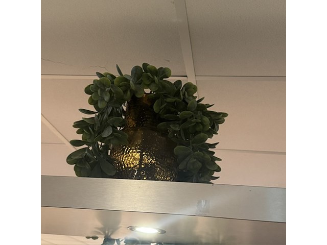 Partij kunst hangplanten colours&green - afbeelding 2 van  11