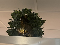 Partij kunst hangplanten colours&green - afbeelding 2 van  11