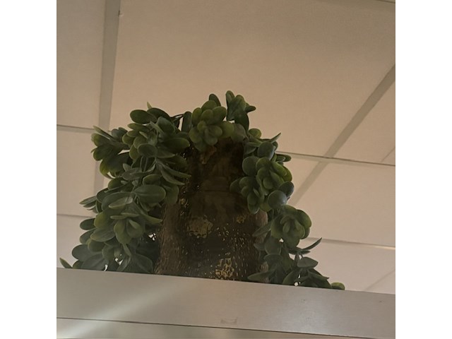 Partij kunst hangplanten colours&green - afbeelding 3 van  11