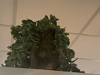 Partij kunst hangplanten colours&green - afbeelding 3 van  11