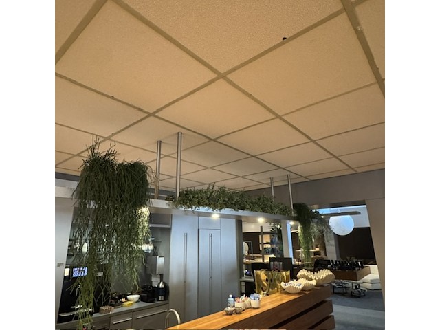 Partij kunst hangplanten colours&green - afbeelding 1 van  11