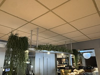 Partij kunst hangplanten colours&green - afbeelding 1 van  11