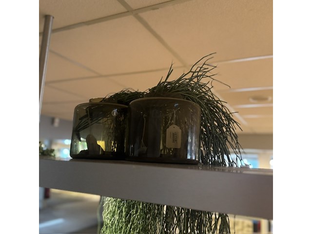 Partij kunst hangplanten colours&green - afbeelding 4 van  11