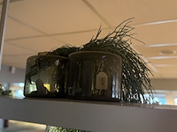 Partij kunst hangplanten colours&green - afbeelding 4 van  11