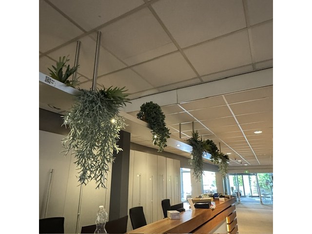 Partij kunst hangplanten colours&green - afbeelding 6 van  11