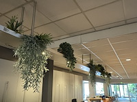 Partij kunst hangplanten colours&green - afbeelding 6 van  11