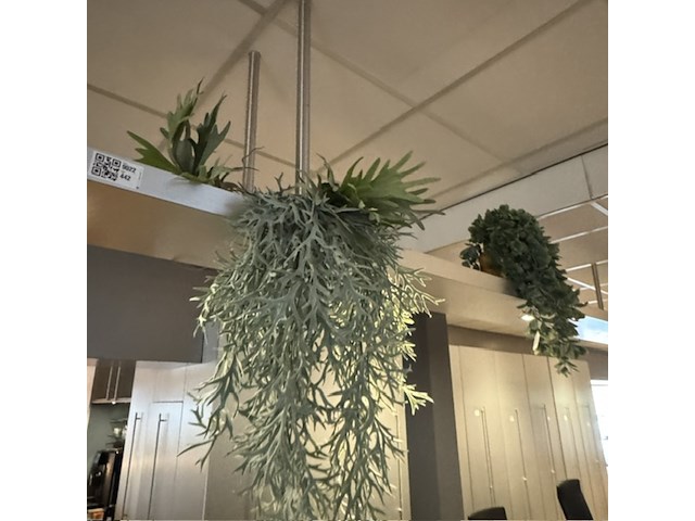 Partij kunst hangplanten colours&green - afbeelding 7 van  11
