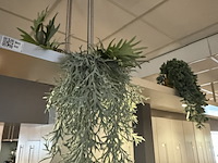 Partij kunst hangplanten colours&green - afbeelding 7 van  11