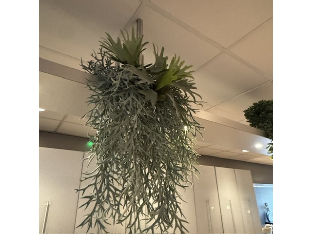 Partij kunst hangplanten colours&green - afbeelding 9 van  11