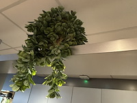 Partij kunst hangplanten colours&green - afbeelding 10 van  11