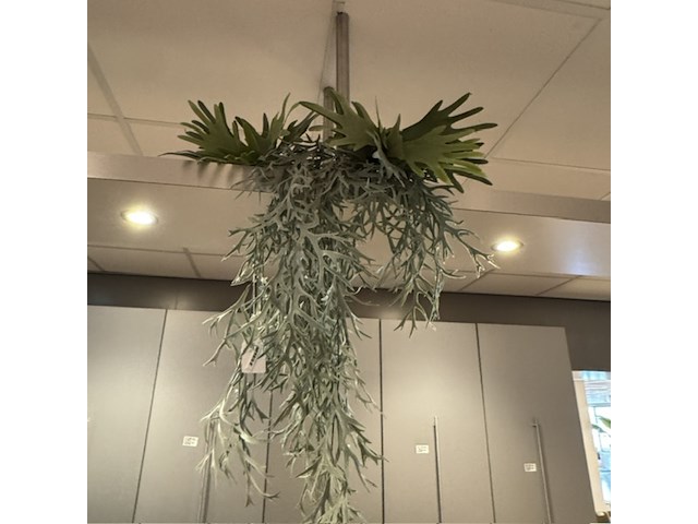 Partij kunst hangplanten colours&green - afbeelding 11 van  11