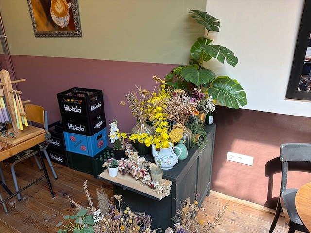 Partij kunst kamerplanten - afbeelding 1 van  5