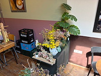 Partij kunst kamerplanten - afbeelding 1 van  5