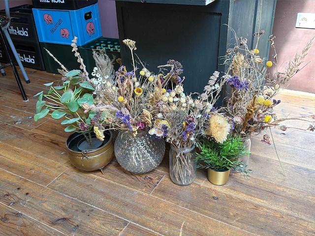 Partij kunst kamerplanten - afbeelding 2 van  5