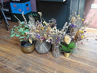 Partij kunst kamerplanten - afbeelding 2 van  5