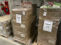 Partij kunstbloemen tulpen - afbeelding 4 van  12