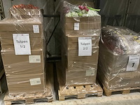 Partij kunstbloemen tulpen - afbeelding 8 van  12