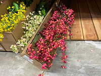 Partij kunstbloemen - afbeelding 5 van  7