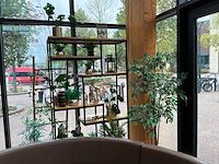 Partij kunstplanten en decoratie - afbeelding 1 van  6