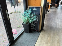 Partij kunstplanten en decoratie - afbeelding 5 van  6