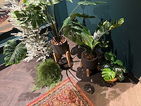 Partij kunstplanten in pot - afbeelding 2 van  6