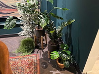 Partij kunstplanten in pot - afbeelding 1 van  6