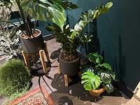 Partij kunstplanten in pot - afbeelding 4 van  6