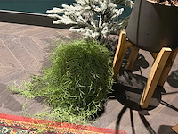 Partij kunstplanten in pot - afbeelding 6 van  6