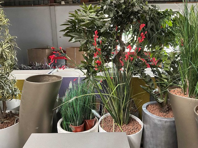 Partij kunstplanten / scheidingswanden - afbeelding 5 van  16