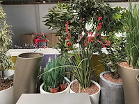 Partij kunstplanten / scheidingswanden - afbeelding 5 van  16