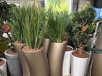 Partij kunstplanten / scheidingswanden - afbeelding 6 van  16