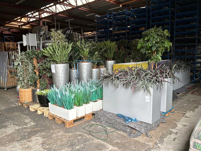 Partij kunstplanten / scheidingswanden - afbeelding 1 van  16