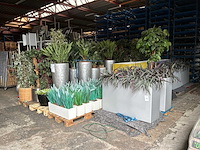 Partij kunstplanten / scheidingswanden - afbeelding 1 van  16