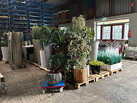 Partij kunstplanten / scheidingswanden - afbeelding 9 van  16