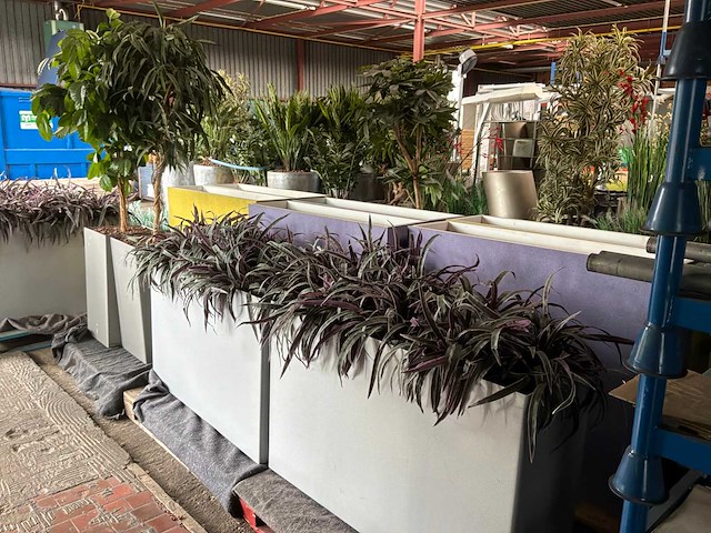 Partij kunstplanten / scheidingswanden - afbeelding 11 van  16