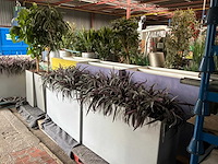 Partij kunstplanten / scheidingswanden - afbeelding 11 van  16